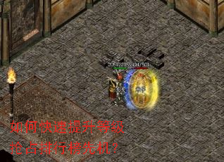 如何快速提升等级抢占排行榜先机? 如何快速提升等级抢占排行榜先机?