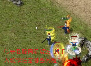 传奇私服国际版2:新手入坑该注意哪些问题? 传奇私服国际版2:新手入坑该注意哪些问题?