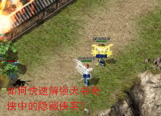 如何快速解锁天书奇侠中的隐藏侠客? 如何快速解锁天书奇侠中的隐藏侠客?