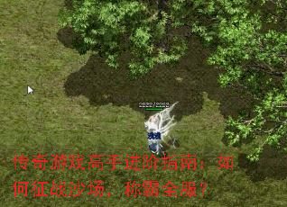 传奇游戏高手进阶指南:如何征战沙场,称霸全服? 传奇游戏高手进阶指南:如何征战沙场,称霸全服?