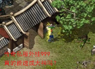传奇私服外挂999真的能速成大神吗? 传奇私服外挂999真的能速成大神吗?