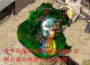 传奇私服跨服转门派攻略?如何从菜鸟快速进阶成大佬? 传奇私服跨服转门派攻略?如何从菜鸟快速进阶成大佬?