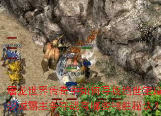 屠龙世界传奇中如何寻找绝世宝藏?沙城霸主争夺战有哪些制胜秘诀? 屠龙世界传奇中如何寻找绝世宝藏?沙城霸主争夺战有哪些制胜秘诀?