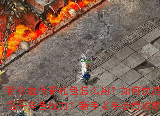 新热血传奇礼包怎么用?如何快速提升角色战力?新手老手必看攻略 新热血传奇礼包怎么用?如何快速提升角色战力?新手老手必看攻略