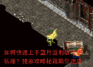 如何快速上手蓝月返利版传奇私服?独家攻略秘籍助你速成 如何快速上手蓝月返利版传奇私服?独家攻略秘籍助你速成