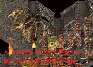 神魔再战如何制霸?热血归来新天骄传奇终极攻略大揭秘 神魔再战如何制霸?热血归来新天骄传奇终极攻略大揭秘