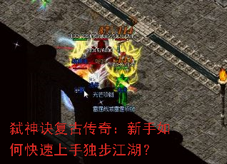 ߱������Ŵ��棺������ο������ֶ���������