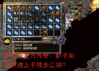߱������Ŵ��棺������ο������ֶ���������