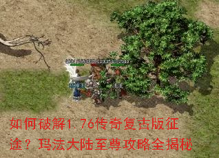 ����ƽ�1.76���渴�Ű���;���귨��½������ȫ����
