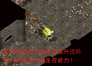 如何有效运用魔法盾提升法师在传奇游戏中的生存能力? 如何有效运用魔法盾提升法师在传奇游戏中的生存能力?