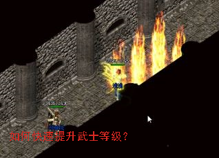 如何快速提升武士等级? 如何快速提升武士等级?