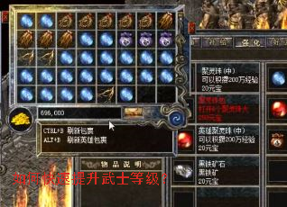 如何快速提升武士等级? 如何快速提升武士等级?