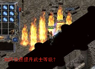 如何快速提升武士等级? 如何快速提升武士等级?
