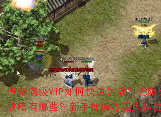 传奇满级VIP如何快速达成?无限元宝获取攻略有哪些?新手如何秒变大神独步沙巴克? 传奇满级VIP如何快速达成?无限元宝获取攻略有哪些?新手如何秒变大神独步沙巴克?