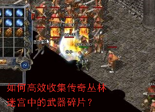 如何高效收集传奇丛林迷宫中的武器碎片? 如何高效收集传奇丛林迷宫中的武器碎片?