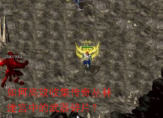 如何高效收集传奇丛林迷宫中的武器碎片? 如何高效收集传奇丛林迷宫中的武器碎片?