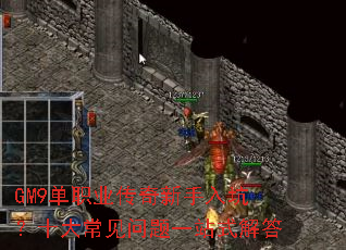 GM9单职业传奇新手入坑?十大常见问题一站式解答 GM9单职业传奇新手入坑?十大常见问题一站式解答