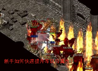 新手如何快速提升等级与属性? 新手如何快速提升等级与属性?