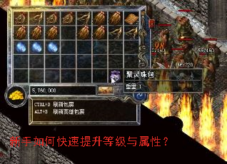 新手如何快速提升等级与属性? 新手如何快速提升等级与属性?