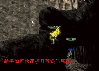 新手如何快速提升等级与属性? 新手如何快速提升等级与属性?