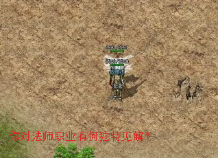你对法师职业有何独特见解? 你对法师职业有何独特见解?