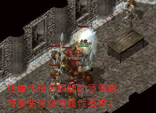 热血传奇怀旧版勋章佩戴有哪些等级与属性要求? 热血传奇怀旧版勋章佩戴有哪些等级与属性要求?