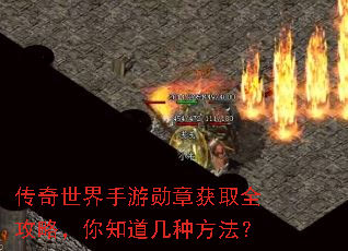 传奇世界手游勋章获取全攻略,你知道几种方法? 传奇世界手游勋章获取全攻略,你知道几种方法?