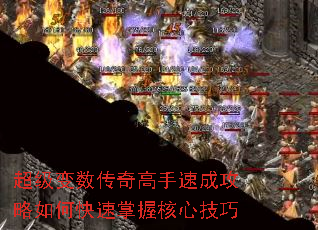 ����������������ٳɹ�����ο������պ��ļ���
