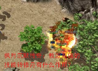 枫月沉默传奇:教派商店的技能转修丹有什么作用? 枫月沉默传奇:教派商店的技能转修丹有什么作用?