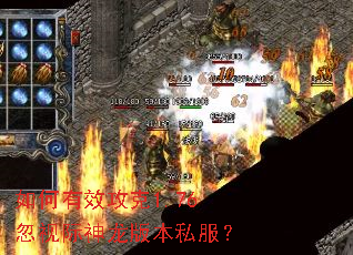 如何有效攻克1.76忽视际神龙版本私服? 如何有效攻克1.76忽视际神龙版本私服?