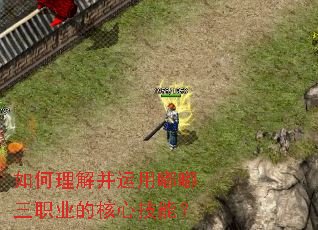 如何理解并运用嘟嘟三职业的核心技能? 如何理解并运用嘟嘟三职业的核心技能?