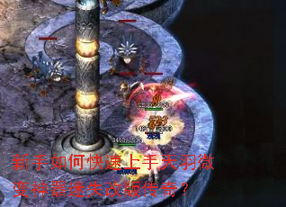 新手如何快速上手天羽微变神器迷失改版传奇? 新手如何快速上手天羽微变神器迷失改版传奇?