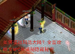 如何征战玛法大陆?全面攻略女NPC并揭秘隐藏秘密 如何征战玛法大陆?全面攻略女NPC并揭秘隐藏秘密