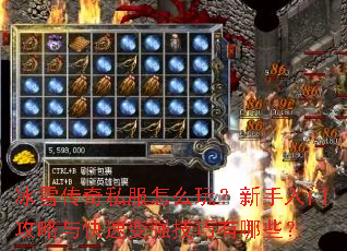 冰雪传奇私服怎么玩?新手入门攻略与快速变强技巧有哪些? 冰雪传奇私服怎么玩?新手入门攻略与快速变强技巧有哪些?