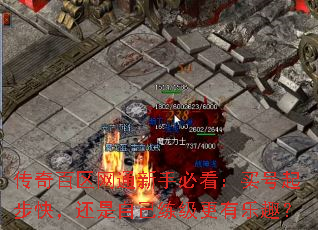 传奇百区网通新手必看:买号起步快,还是自己练级更有乐趣? 传奇百区网通新手必看:买号起步快,还是自己练级更有乐趣?