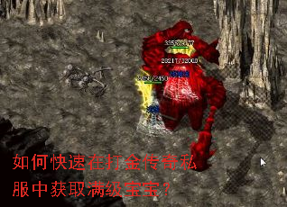 如何快速在打金传奇私服中获取满级宝宝? 如何快速在打金传奇私服中获取满级宝宝?