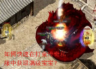 如何快速在打金传奇私服中获取满级宝宝? 如何快速在打金传奇私服中获取满级宝宝?