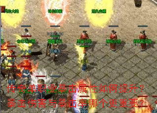 传奇单职业暴击属性如何提升?暴击伤害与暴击率哪个更重要? 传奇单职业暴击属性如何提升?暴击伤害与暴击率哪个更重要?