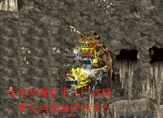 传奇私服新手入门攻略:常见问题解答大全? 传奇私服新手入门攻略:常见问题解答大全?