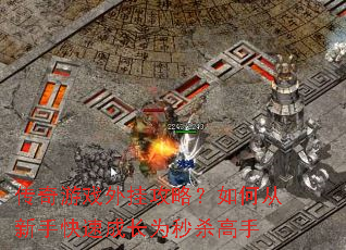 传奇游戏外挂攻略?如何从新手快速成长为秒杀高手 传奇游戏外挂攻略?如何从新手快速成长为秒杀高手