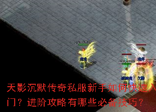 天影沉默传奇私服新手如何快速入门?进阶攻略有哪些必备技巧? 天影沉默传奇私服新手如何快速入门?进阶攻略有哪些必备技巧?