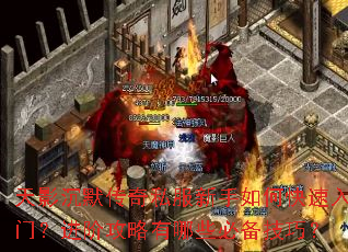 天影沉默传奇私服新手如何快速入门?进阶攻略有哪些必备技巧? 天影沉默传奇私服新手如何快速入门?进阶攻略有哪些必备技巧?