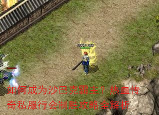 如何成为沙巴克霸主?热血传奇私服行会制胜攻略全解析 如何成为沙巴克霸主?热血传奇私服行会制胜攻略全解析