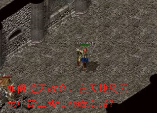 如何逆天改命,在天地风云录中踏上修仙巅峰之路? 如何逆天改命,在天地风云录中踏上修仙巅峰之路?