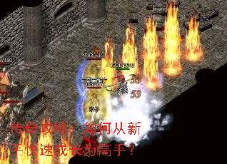 传奇攻略:如何从新手快速成长为高手? 传奇攻略:如何从新手快速成长为高手?
