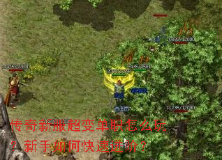 �����·����䵥ְ��ô�棿������ο��ٽ��ף�