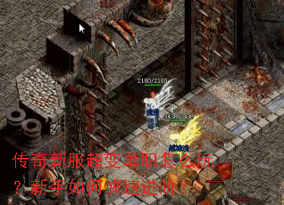 �����·����䵥ְ��ô�棿������ο��ٽ��ף�