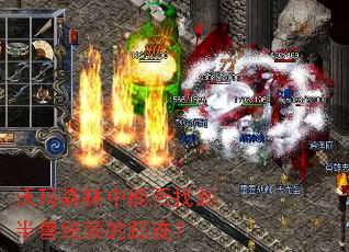����ɭ�����ܷ��ҵ�����ͳ����ټ���