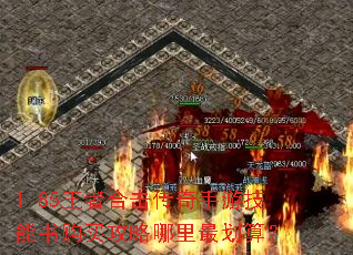 1.85���ߺϻ��������μ����鹺����������㣿