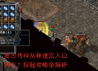 复古传神丛林迷宫入口何在?探秘攻略全解析 复古传神丛林迷宫入口何在?探秘攻略全解析